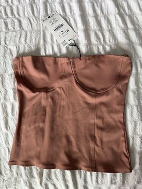 Zara Strapless Bustier Top in Mauve